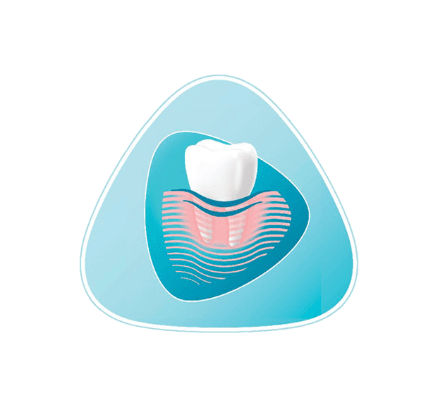 Tooth icon on a blue shape background
